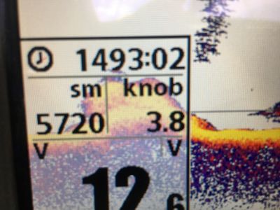 Der Kaiser S/S /Elsass