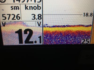 Else Kunkel armeret trawler 