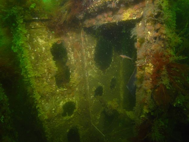 Indgang til maskinrum
Kilde: Bubblewatcher – https://www.bubblewatcher.de/schnellboot-s-22/