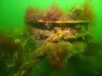 Schnellboot S 22 eller S 170