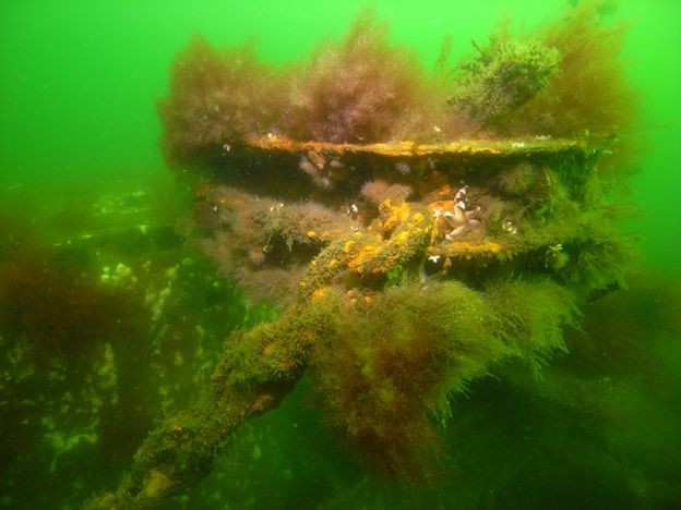 Ankerspil med kæde
Kilde: Bubblewatcher – https://www.bubblewatcher.de/schnellboot-s-22/