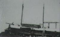 Conni M/S
