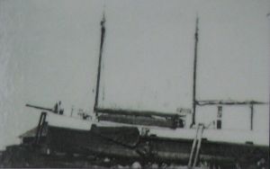 Conni M/S