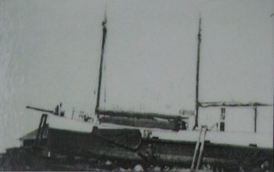 Conni M/S