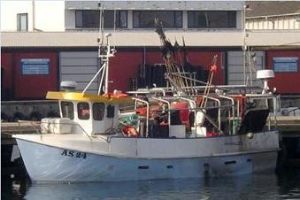 Birgit AS 24