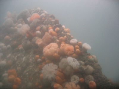 Malene Slotø af Randers