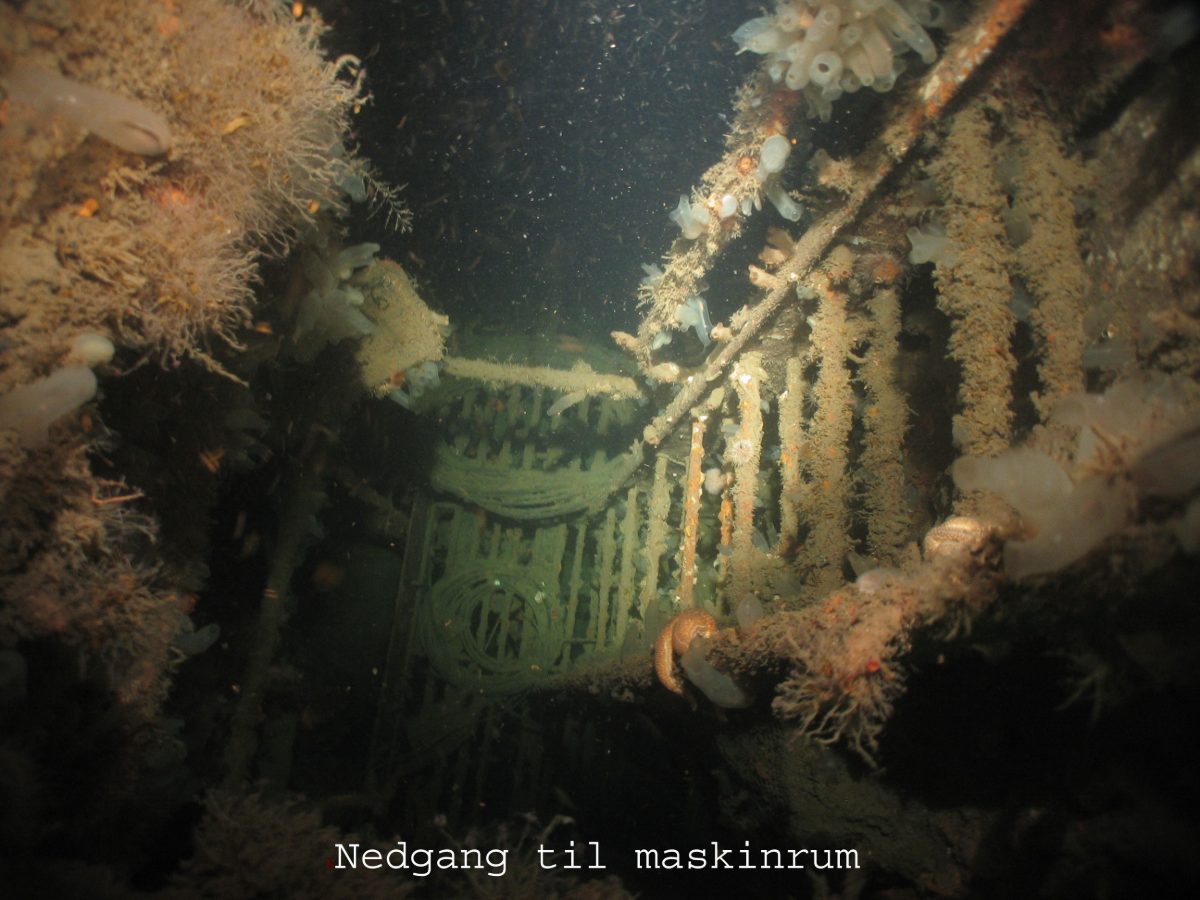 Gudrun M/S