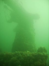 Faros