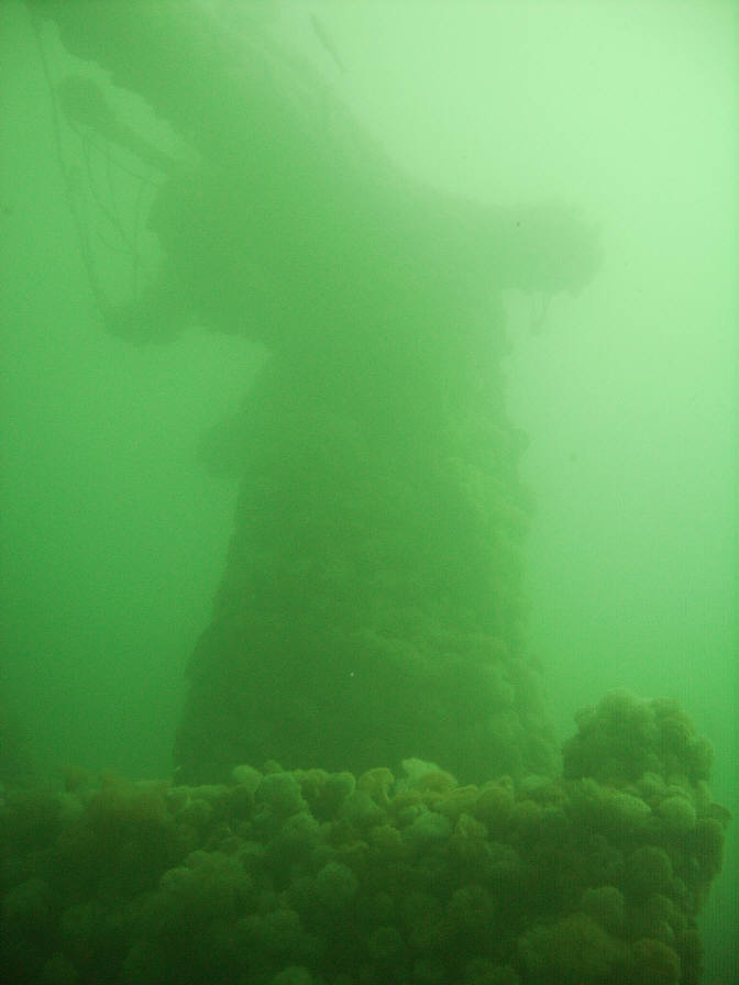 Faros