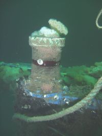Faros