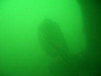 Poseidon