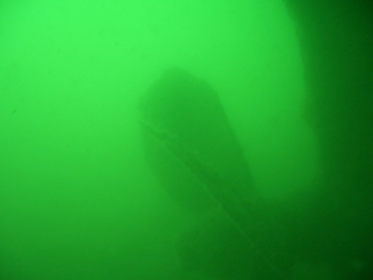 Poseidon