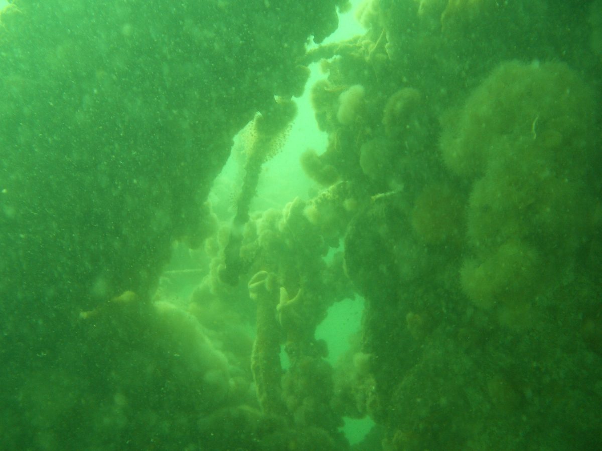 Poseidon