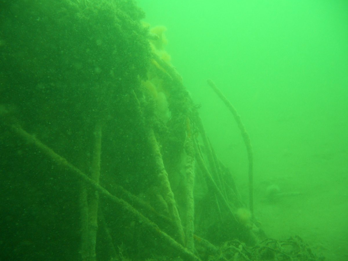 Poseidon