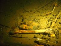 Ukendt sub hunter