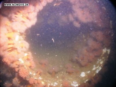 De tre (fire) Motortorpedobåde båd (4)