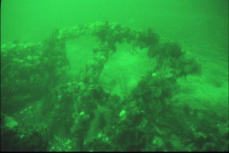 Cimbria Hjuldamper