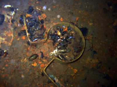 Director Reppenhagen S/S