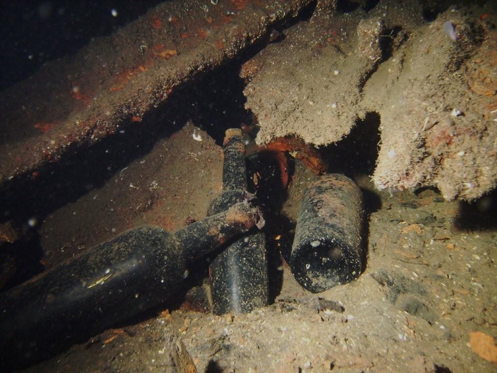 Oliva