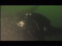 S 103 Torpedebåd