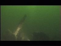S 103 Torpedebåd