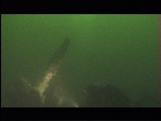 S 103 Torpedebåd