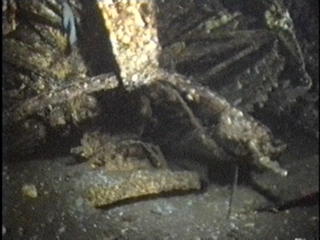 Dornier 18
