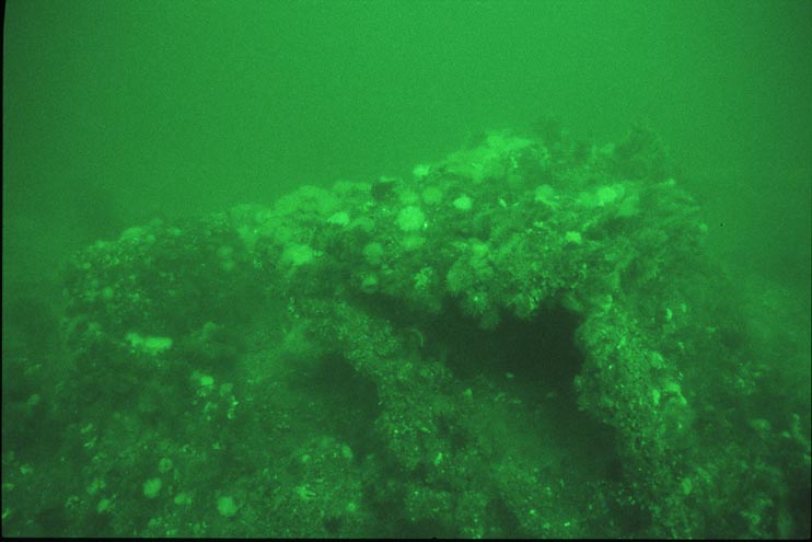 Cimbria Hjuldamper