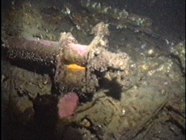 Dornier 18