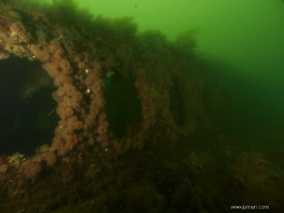 De tre Motortorpedobåde båd (3)