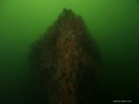 De tre Motortorpedobåde båd (1)