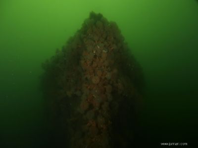 De tre Motortorpedobåde båd (1)