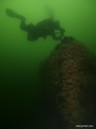 De tre Motortorpedobåde båd (1)