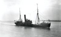 Gleiwitz V1102 S/S
