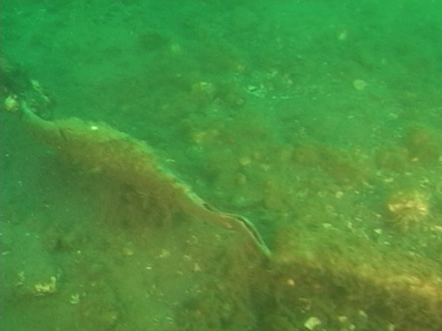 Lancaster