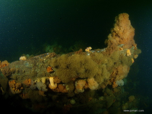 Wilhelmmine