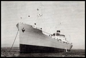 Saivo
