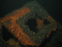 Bonita M/S