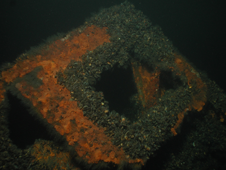 Bonita M/S