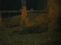 Bonita M/S