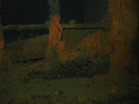 Bonita M/S
