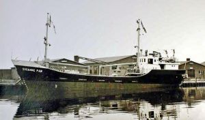 Mito M/S