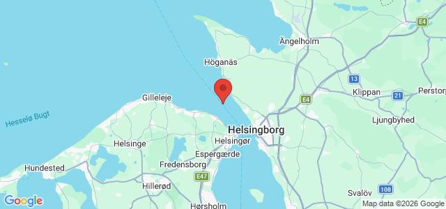 Kort over Svinbåken