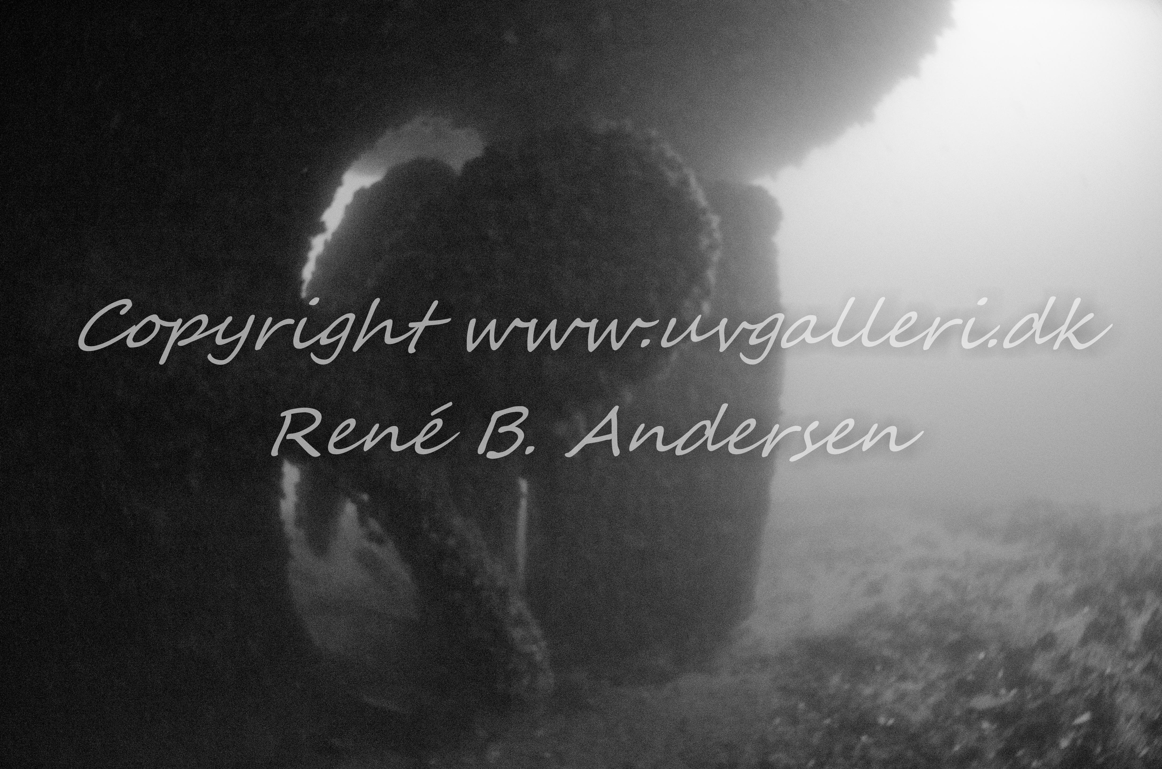 Minos (Hellfrid Bissmark)