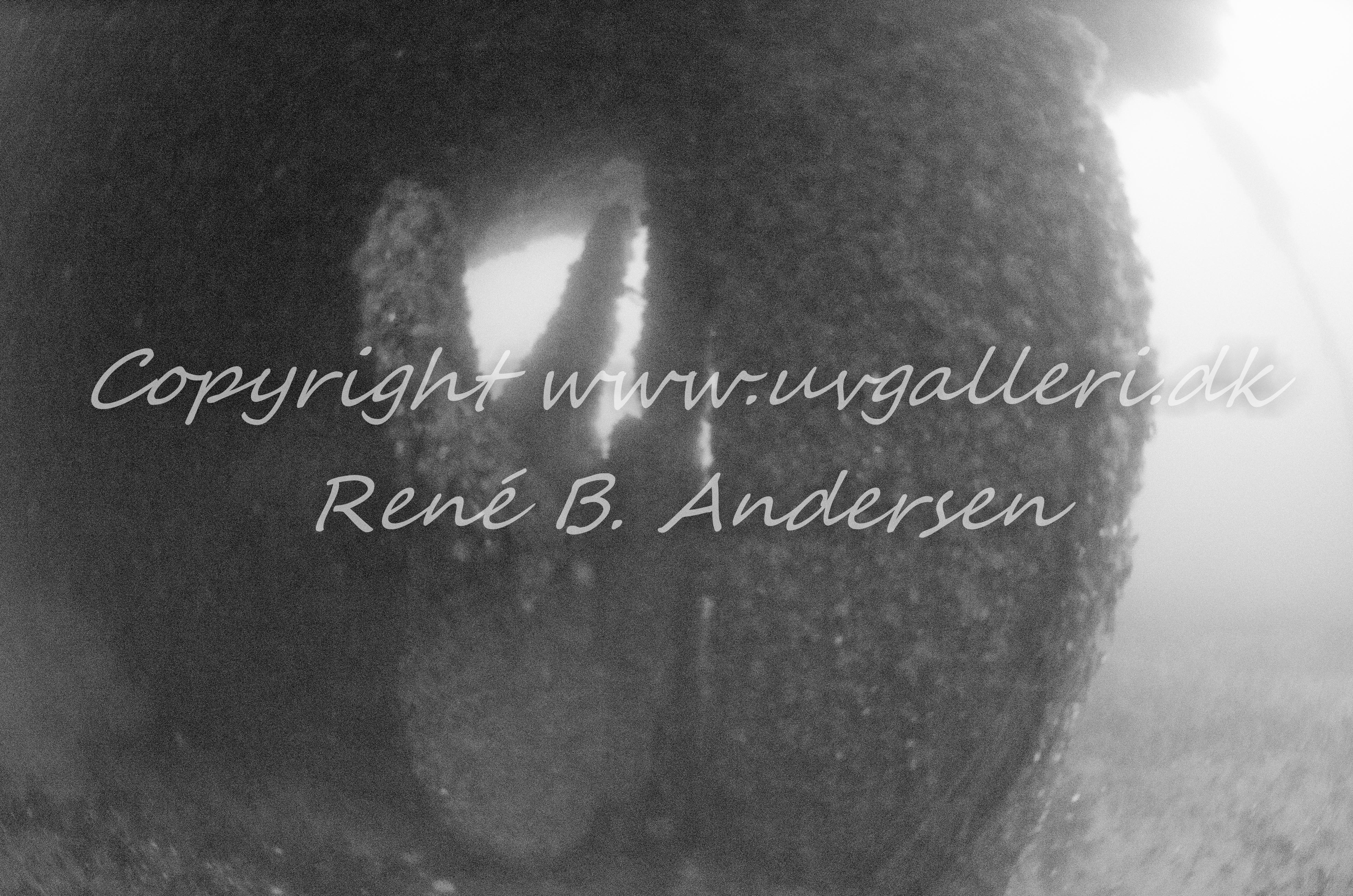 Minos (Hellfrid Bissmark)