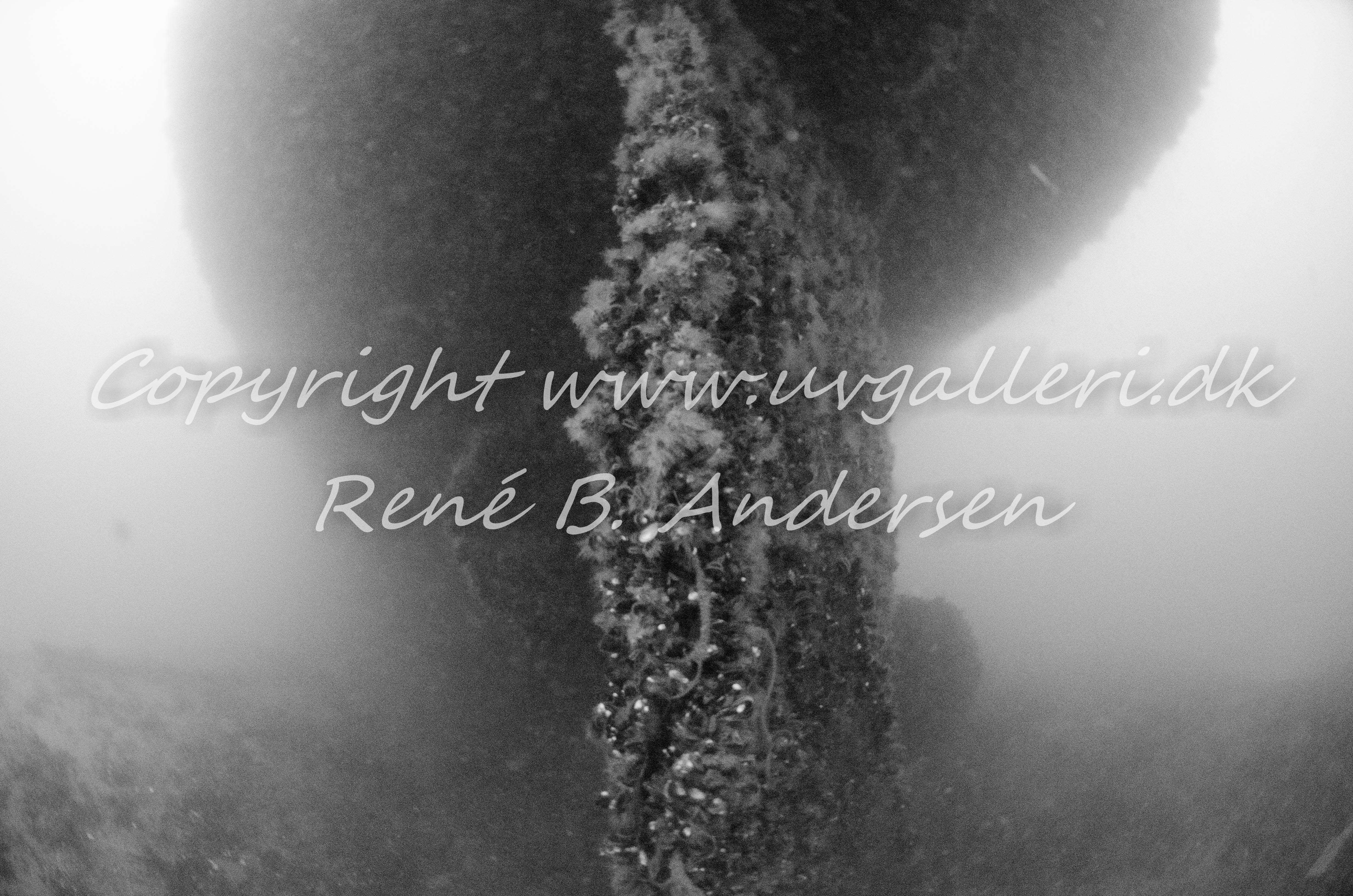 Minos (Hellfrid Bissmark)