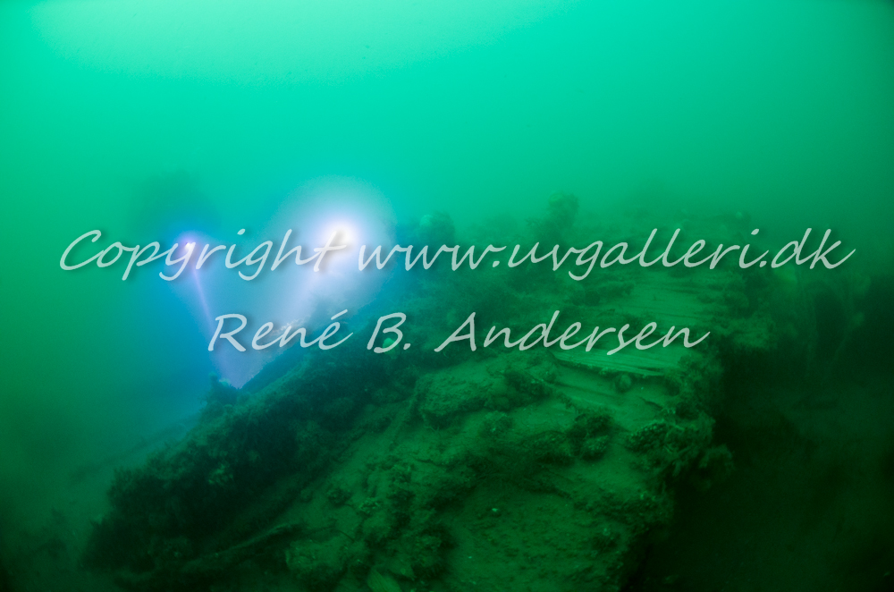 Der Kaiser S/S /Elsass