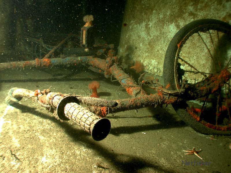 Martina M/T, agterskibet