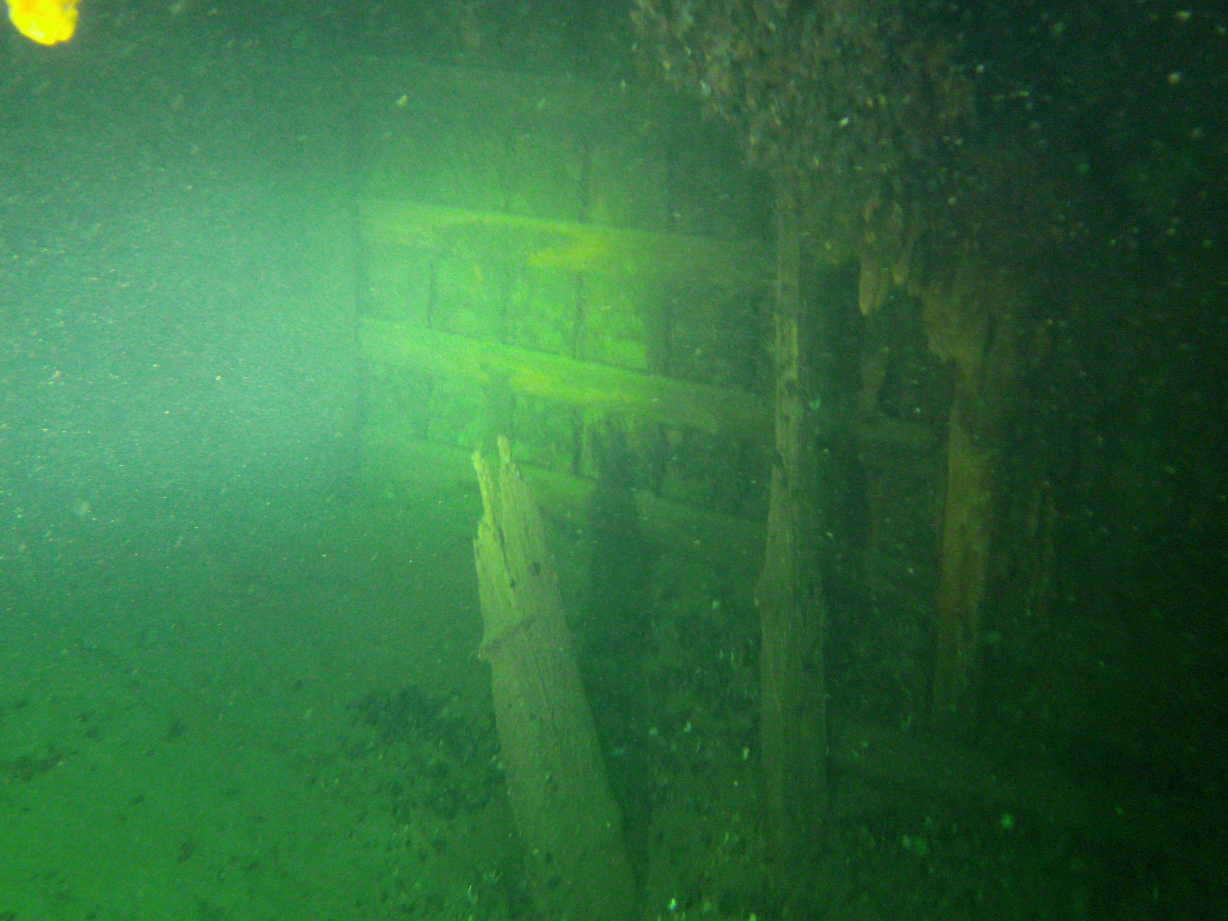 Minos (Hellfrid Bissmark)