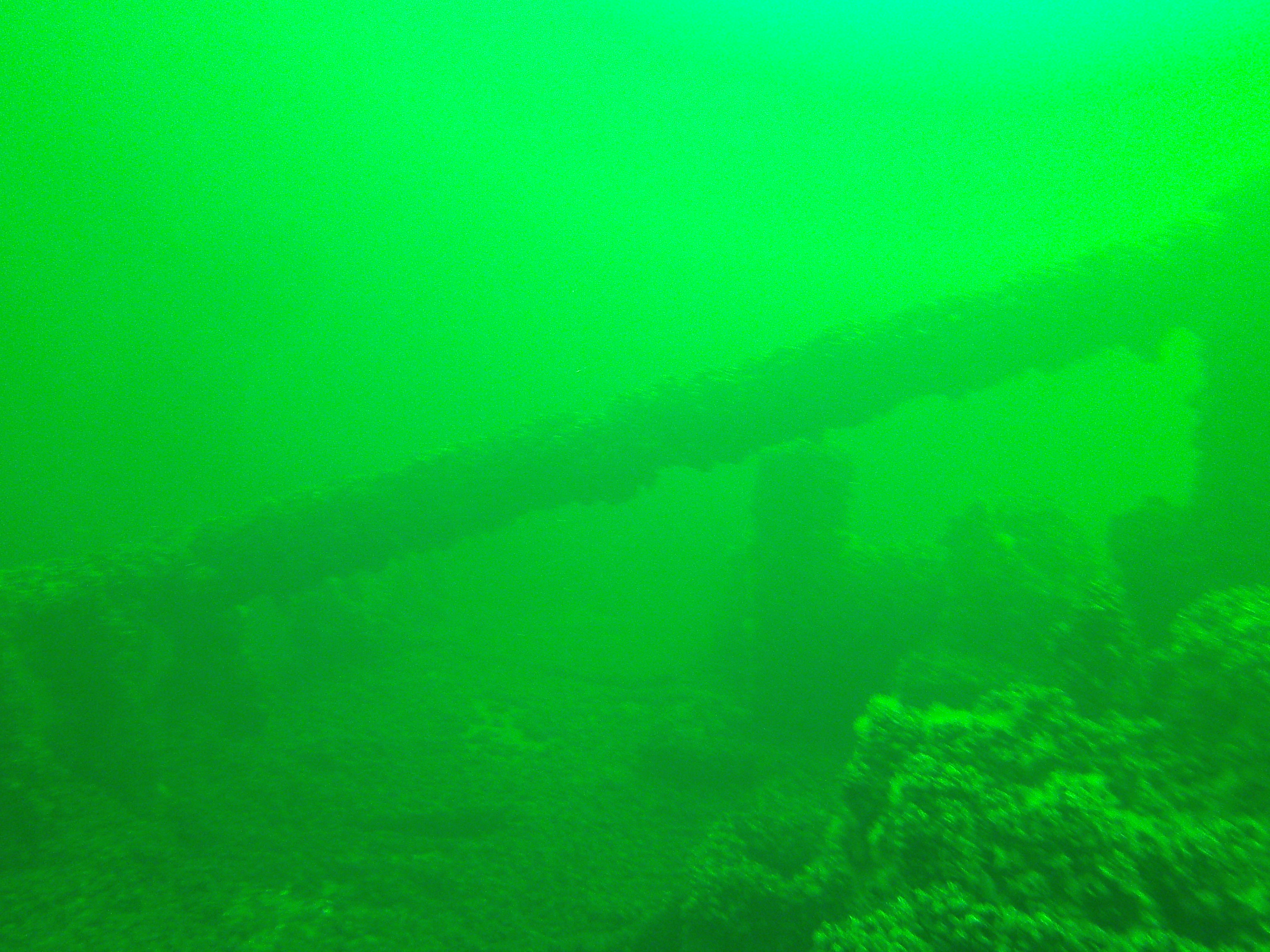 Minos (Hellfrid Bissmark)